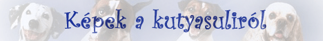kptr